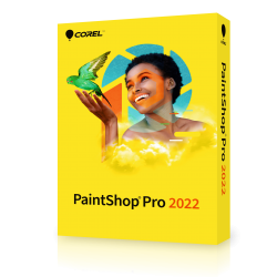 PaintShop Pro 2022 EN -  licencja komercyjna, wieczysta, BOX